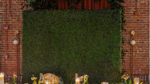 Greenery Wall - Small rental Northern Virginia - Winchester - Leesburg, VA