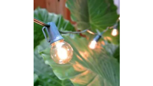Bistro Lights - 400' rental Frederick, MD