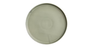 Sage Straight Edge Dinner Plate rental Frederick, MD