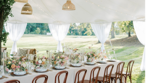 Drapery - Single Curtain On Exterior Poles rental Frederick, MD