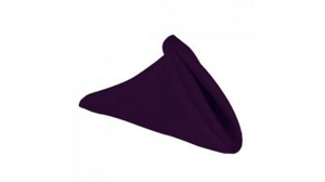 20”X20” Eggplant Polyester Napkins rental Dallas-Ft. Worth, TX