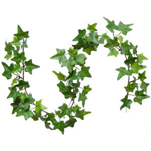 Decorative Ivy rental Houston, TX