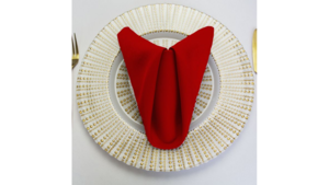 20"X20" Red Polyester Napkins rental Dallas-Ft. Worth, TX