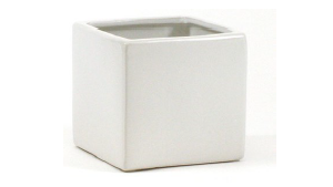 Square Matte White Ceramic Cube 6"X6" rental Jupiter, FL