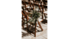 Chair - Wood (Fruitwood) Folding With Ivory Pad rental in Leavenworth - Wenatche Valley, WA