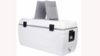 Cooler - Igloo 165 Quart rental in Leavenworth - Wenatche Valley, WA