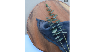 Bark Edge Wood Chargers rental Leavenworth - Wenatche Valley, WA