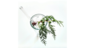 Glass Straw Rental rental Leavenworth - Wenatche Valley, WA
