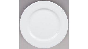 Plate, Dinner Bright White 10.5" rental Leavenworth - Wenatche Valley, WA
