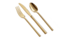 Spoon, Dessert/Dessert - Modern Gold rental in Leavenworth - Wenatche Valley, WA