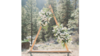 Single Triangle Arch rental in Leavenworth - Wenatche Valley, WA