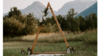 Single Triangle Arch rental in Leavenworth - Wenatche Valley, WA
