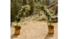 Willow Branch Arch rental in Leavenworth - Wenatche Valley, WA