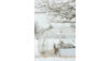 Tent - Bubble Tent rental in Leavenworth - Wenatche Valley, WA