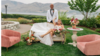 Chair, Velvet Rose With Gold Legs rental in Leavenworth - Wenatche Valley, WA