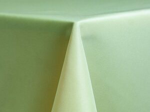 90" X 132" Poly, Mint Green (Floor Length 6' Ta... rental Richmond, VA