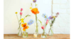 Bud Vases rental in Leavenworth - Wenatche Valley, WA