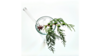 Glass Straw Purchase rental in Leavenworth - Wenatche Valley, WA