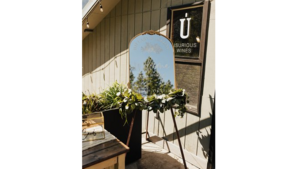Arched Gold Mirror rental Leavenworth - Wenatche Valley, WA