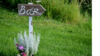 Wood Bar Sign rental in Leavenworth - Wenatche Valley, WA
