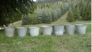Galvanized Buckets rental Leavenworth - Wenatche Valley, WA