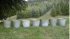 Galvanized Buckets rental in Leavenworth - Wenatche Valley, WA