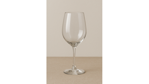 All Purpose Wine Glass rental Naples, FL