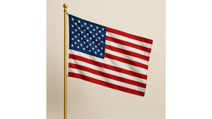 3X5 American Flag On Gold 6' Pole rental Naples, FL