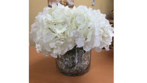 White Hydrangeas rental Jupiter, FL