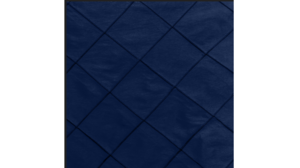 13X120 Royal Blue - Bombay Runner rental Jupiter, FL