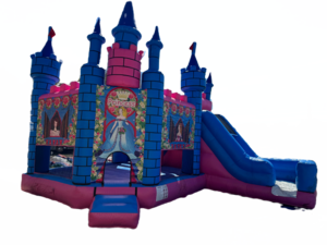 Princess Combo rental Dallas-Ft. Worth, TX