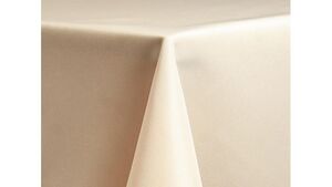 Ivory Polyester Chair Cover rental Las Vegas, NV