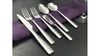 Titan Soup Spoon rental in Las Vegas, NV