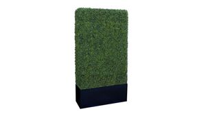 Boxwood Hedge Wall 4' X 8' rental Las Vegas, NV