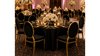 Cameo Gold / Black Velvet Chair rental in Las Vegas, NV
