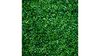 Backdrop - Hedge Wall rental in Las Vegas, NV