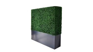 Boxwood Hedge Wall 4' X 4' rental Las Vegas, NV