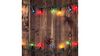 Backdrop - Holiday Lights rental in Las Vegas, NV