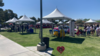 10X10 Festival - Pinnacle rental in Las Vegas, NV