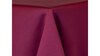 Burgundy Satin Sash rental in Austin, TX