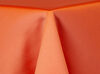 Coral Satin Sash rental in Austin, TX