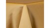 Gold Satin Sash rental in Austin, TX