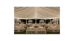 50' Twinkle Lights (Set Up/Take Down Included) rental Austin, TX