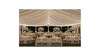 50' Twinkle Lights (Set Up/Take Down Included) rental in Austin, TX