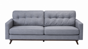Ava Midcentury Sofa rental Austin, TX