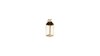Small Gold Lantern rental in Austin, TX