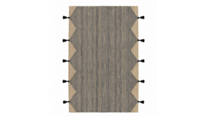 Roney Rug (5'X7') rental Austin, TX