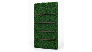 Single-Sided Champagne Flute Hedge Wall (4'X8') rental Austin, TX