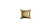 Specialty Pillow rental in Austin, TX