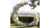 Crescent Moon Arch rental in Austin, TX